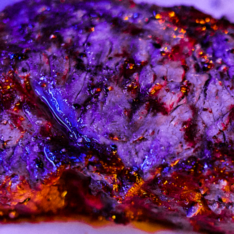 Center Cut Filet Mignon